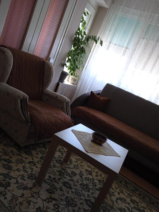 Apartman Nikolic Bor Exterior foto