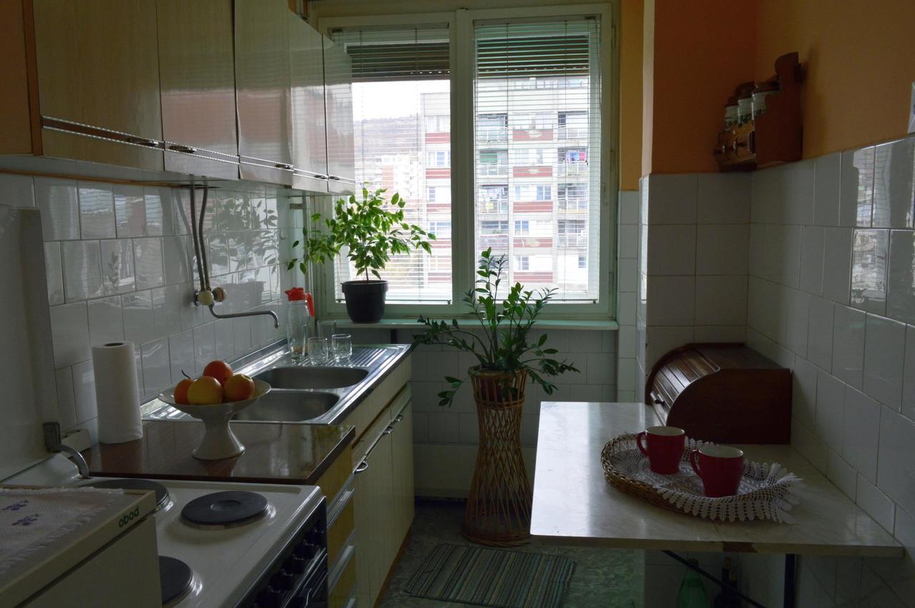 Apartman Nikolic Bor Exterior foto